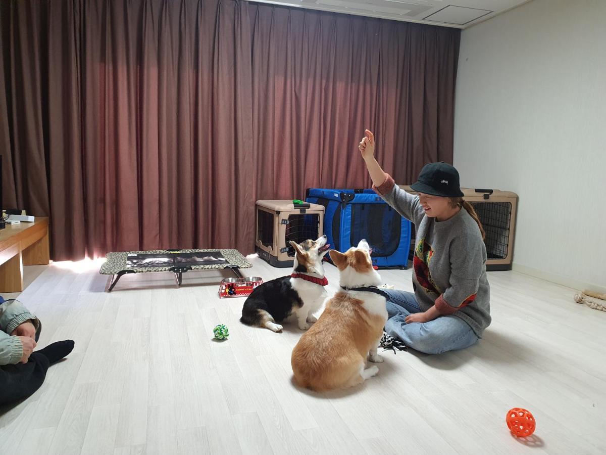 Hi Jeju Hotel Esterno foto