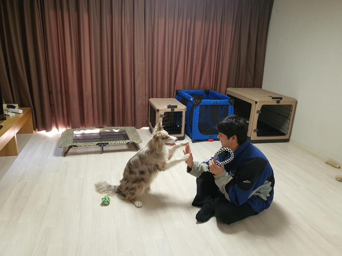 Hi Jeju Hotel Esterno foto